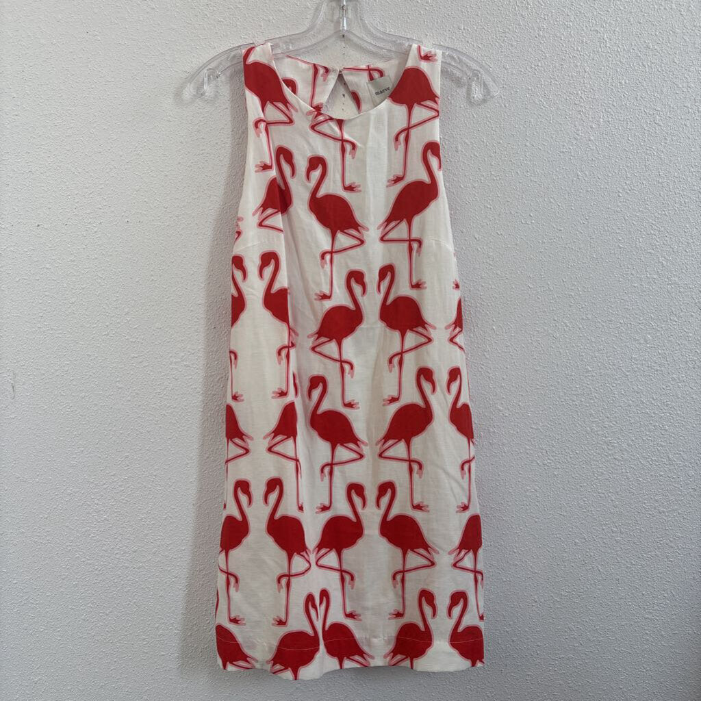 flamingos
