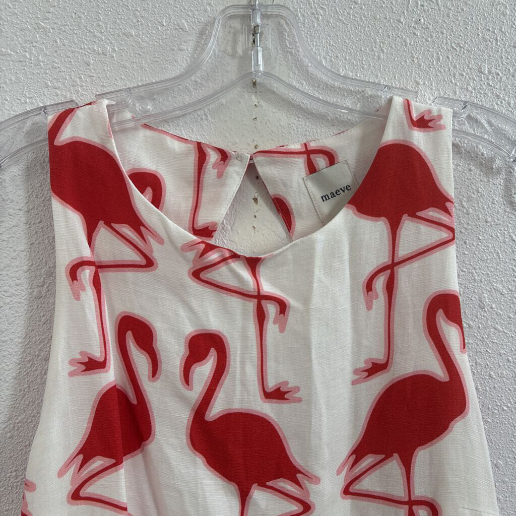 flamingos