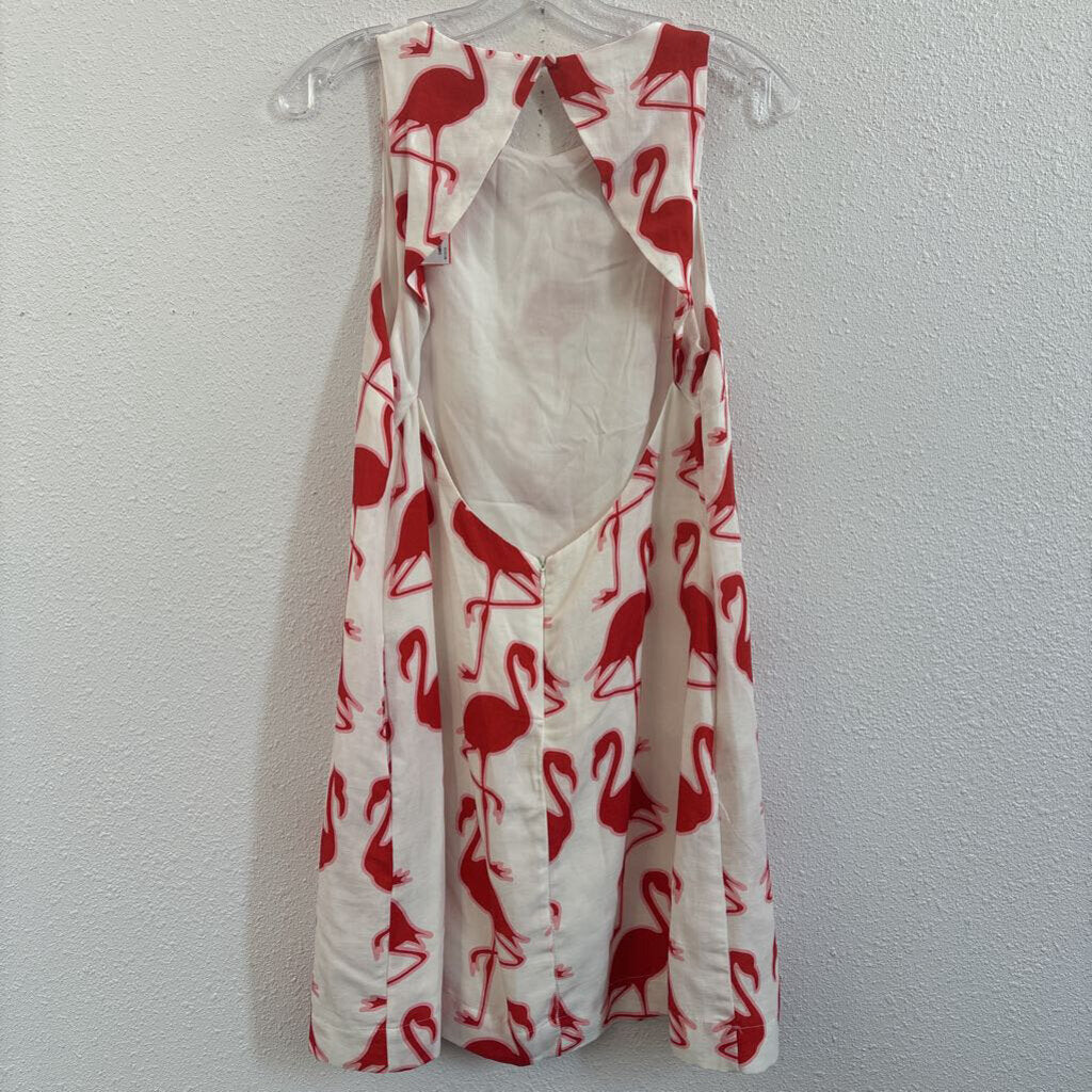 flamingos