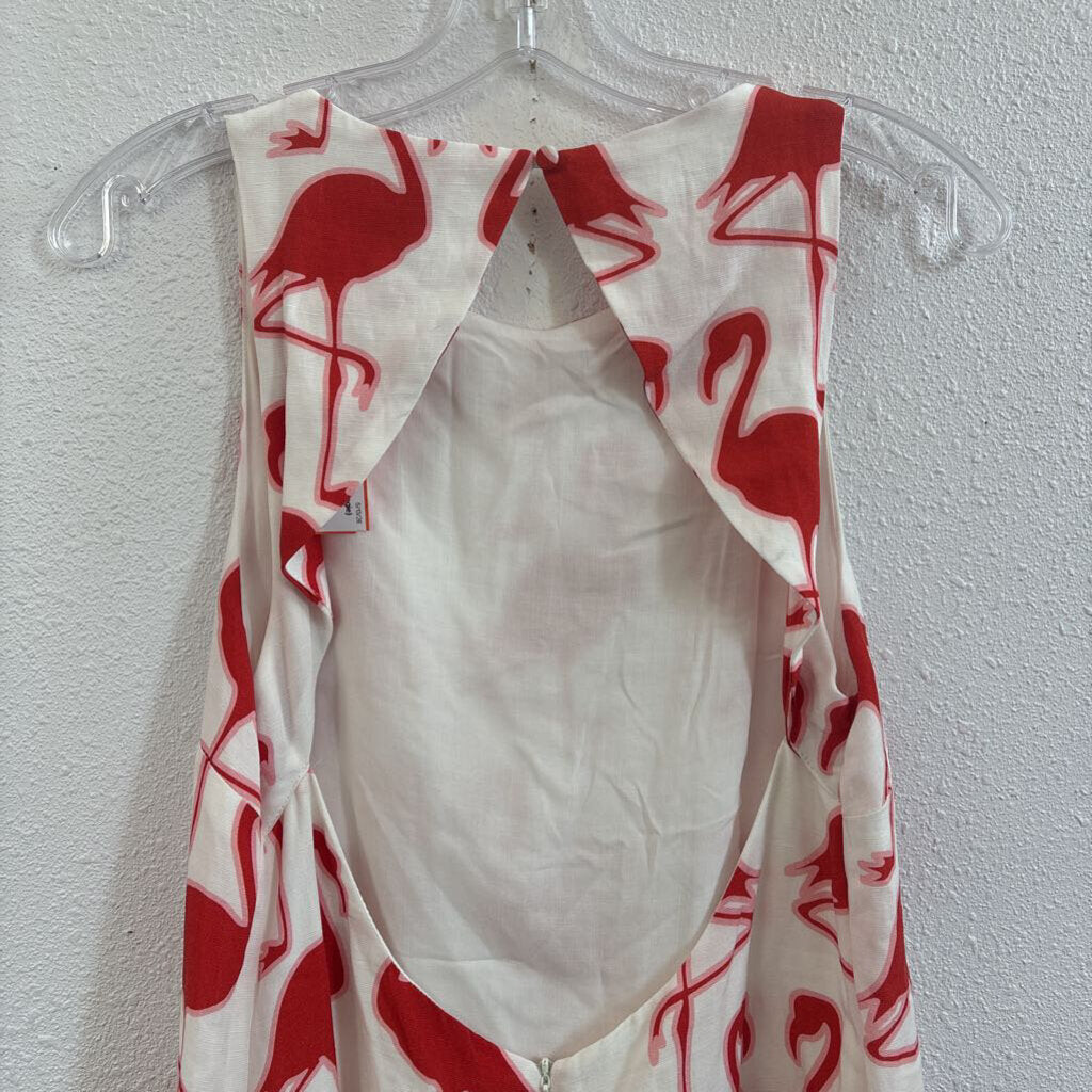 flamingos