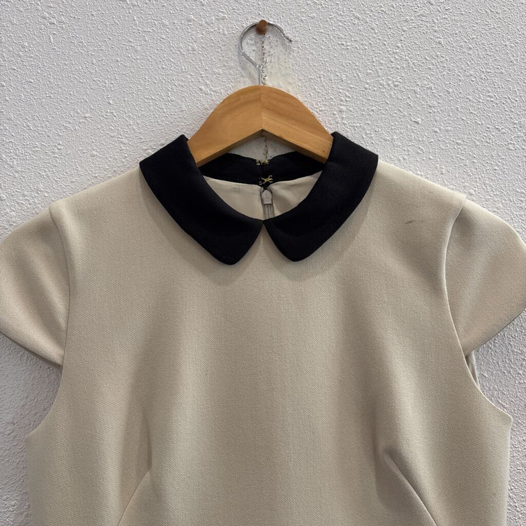 peterpan collar