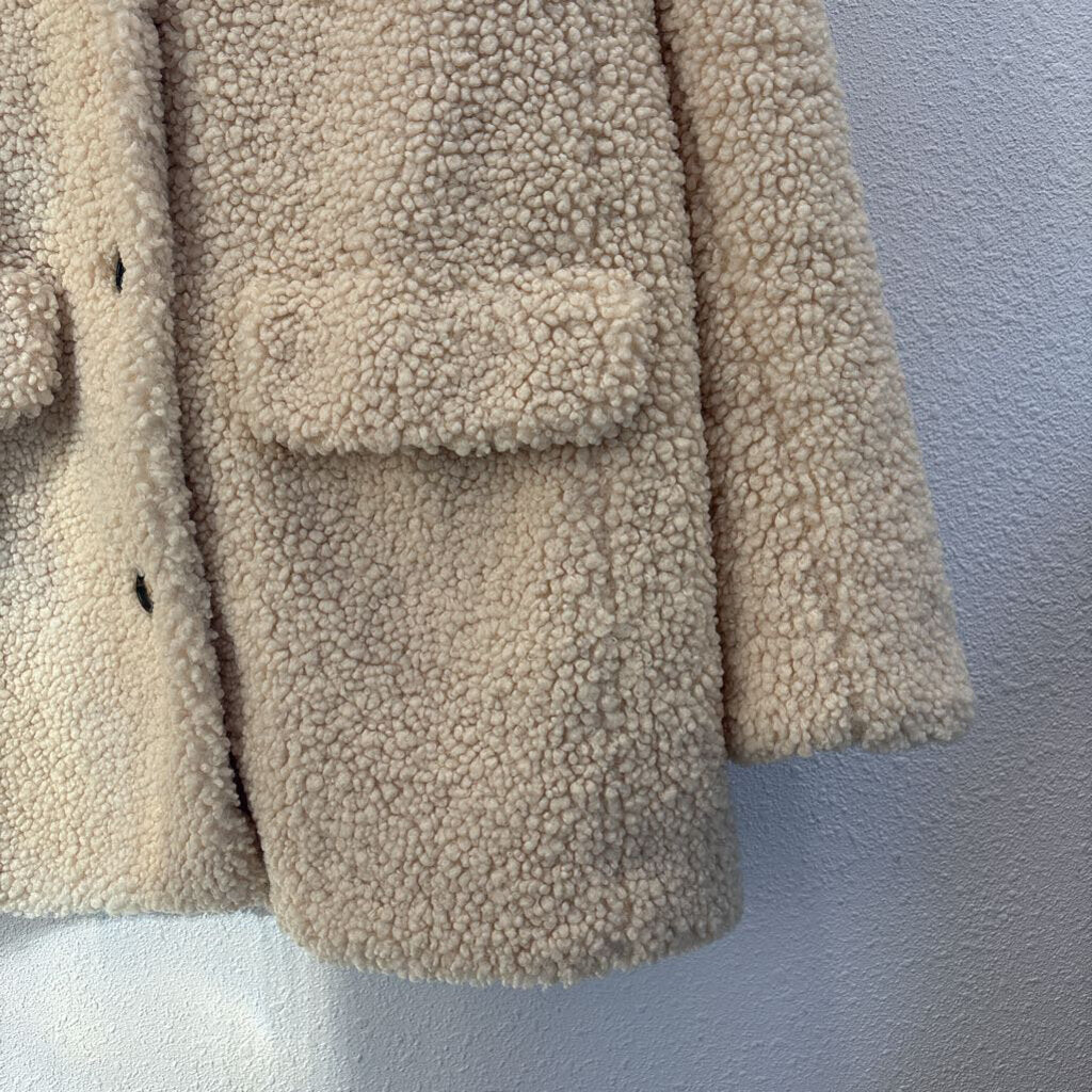teddy sherpa